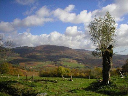La Begude D'Amalthee Villa Vernay Екстериор снимка